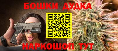 PSILOCYBIN Железногорск