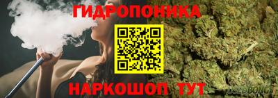 спайс Ефремов