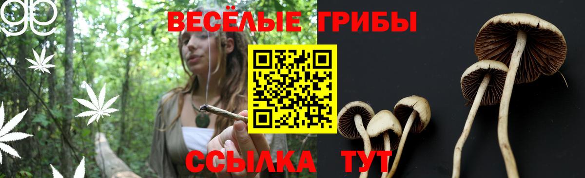 Гуково  Галлюциногенные грибы Psilocybe  Вход с VPN 